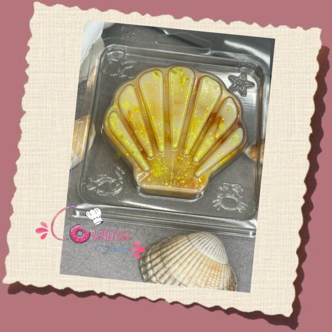 Clamshell Coquillage