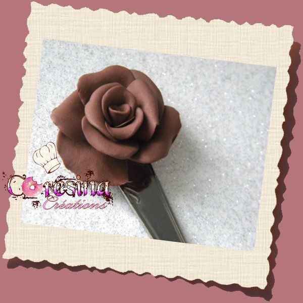 Cuillère Rose chocolat